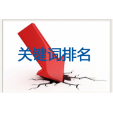 单县网站关键词排名下降原因有哪些