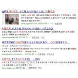单县朱安安：SEO外链代发行业大揭密